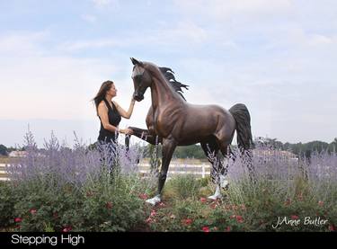 Life size bronze equestrian bronze sculpture thumb