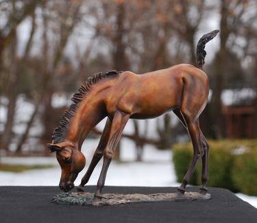 What's Grass..  bronze foal statue thumb