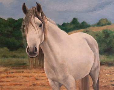 Original Realism Horse Paintings by Randolph South