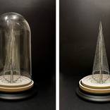 Stinkhorn Soparo by Karl Singporewala RWA RIBA