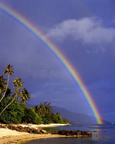 Tahitian Rainbow thumb