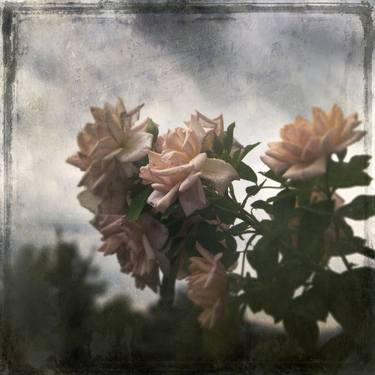 Original Impressionism Floral Photography by Chiara Vignudelli