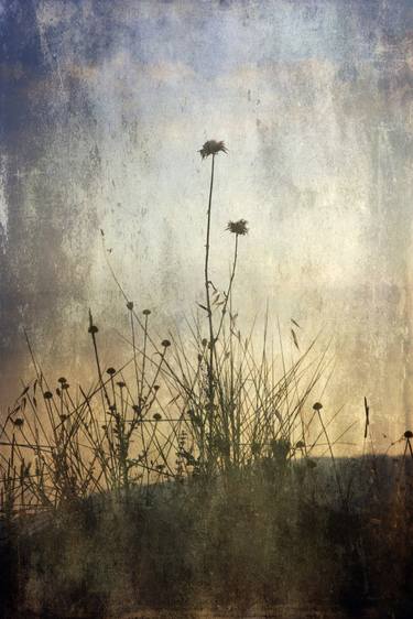 Original Nature Photography by Chiara Vignudelli