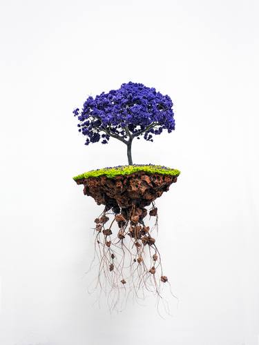 Blue Bonsai, LIMITED EDITION of 200 thumb