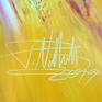 Signature Peter Nottrott