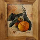 Collection still life