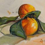 Collection still life