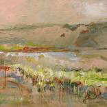 Pink Veil at Winery, 2026 by Nancy Bossert