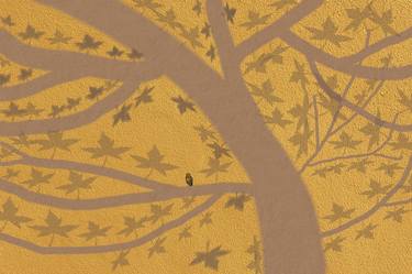 Shadow Maple Tree image