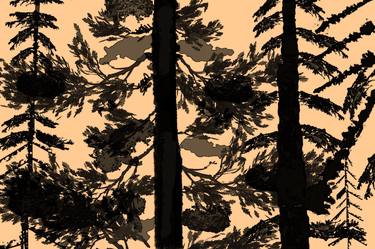 Shadow Conifers image