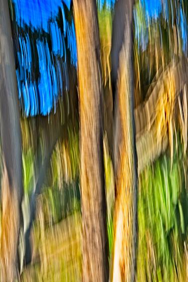 Moving Trees 33 - Limited Edition 3 of 25 image