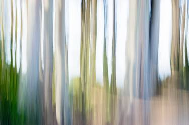 Moving Trees 20-30 Landscape Format - Limited Edition 1 of 25 thumb