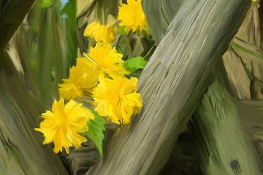 Yellow Flowers at Cecilienhof - Limited Edition 1 of 25 thumb