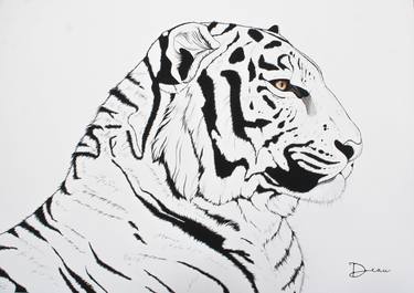 'The Emperor' - Indochinese Tiger thumb