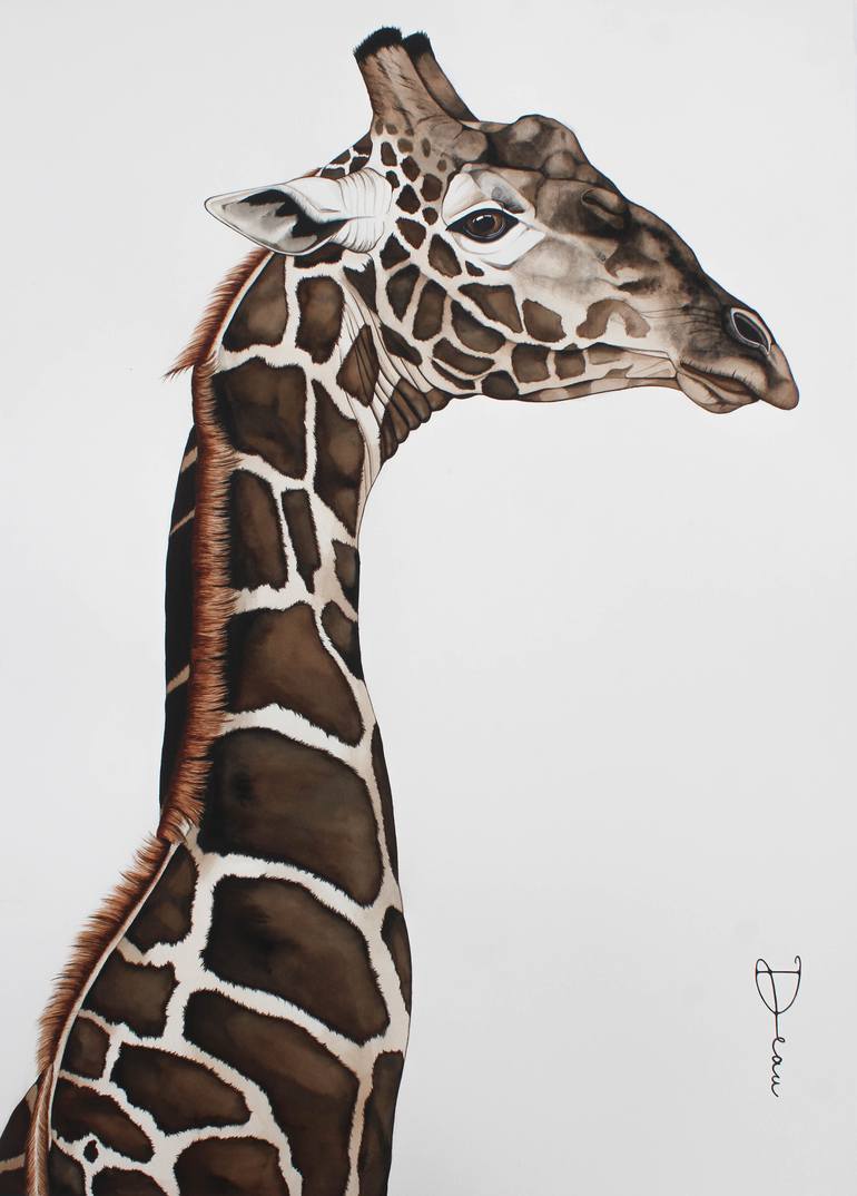 giraffe head profile drawing
