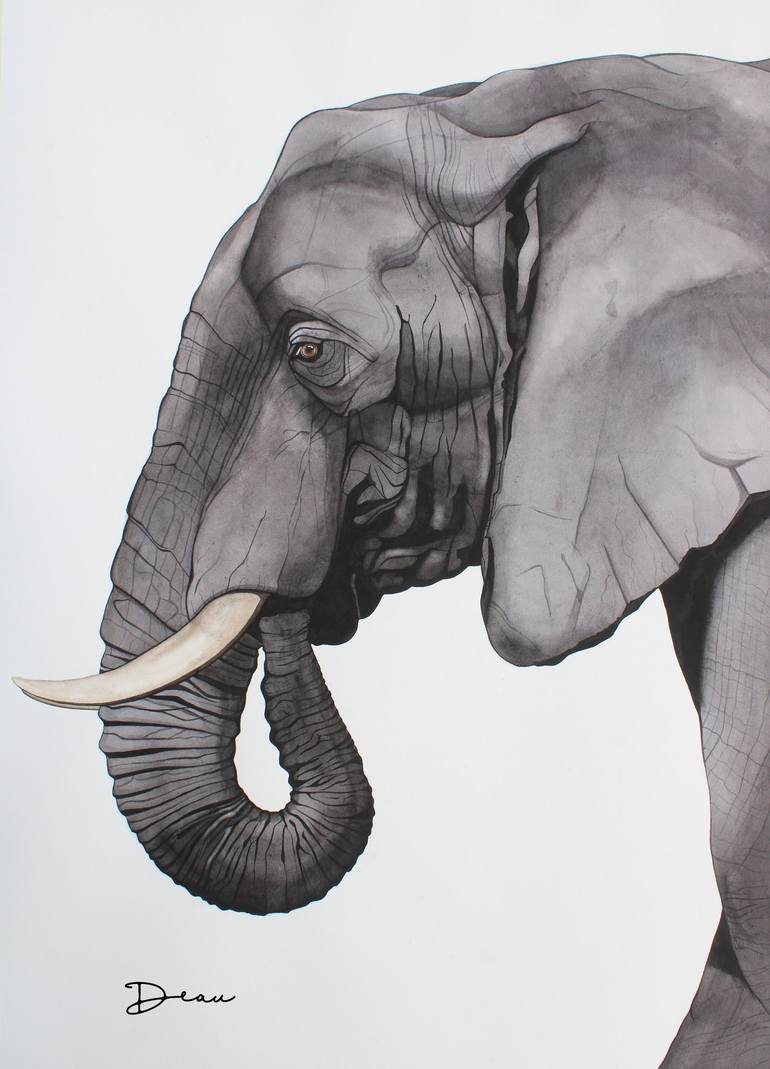 african elephant painting