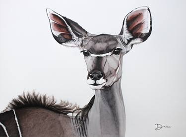 Michiels Greater Kudu - Female thumb