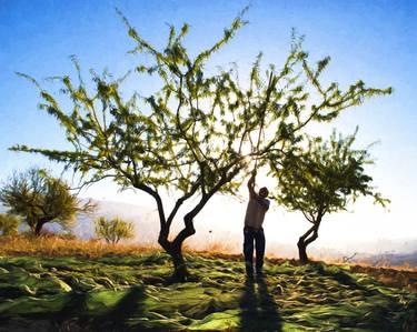 Print of Expressionism Rural life Photography by Paul J Bucknall