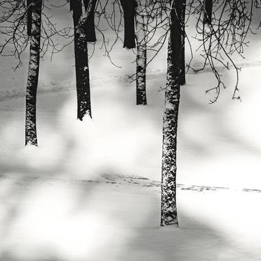 Original Black & White Landscape Photography by Paul J Bucknall