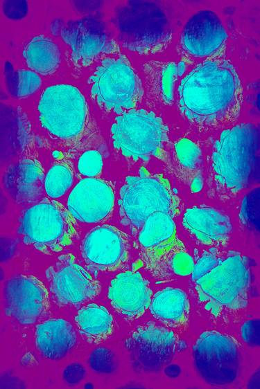 Original Abstract Patterns Photography by Paul J Bucknall