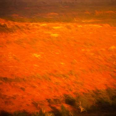 Original Digital Art Abstract Photography by Paul J Bucknall