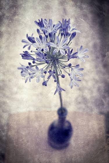 Blue Flowers In A Bottle (Limited Edition #2 of 15) thumb