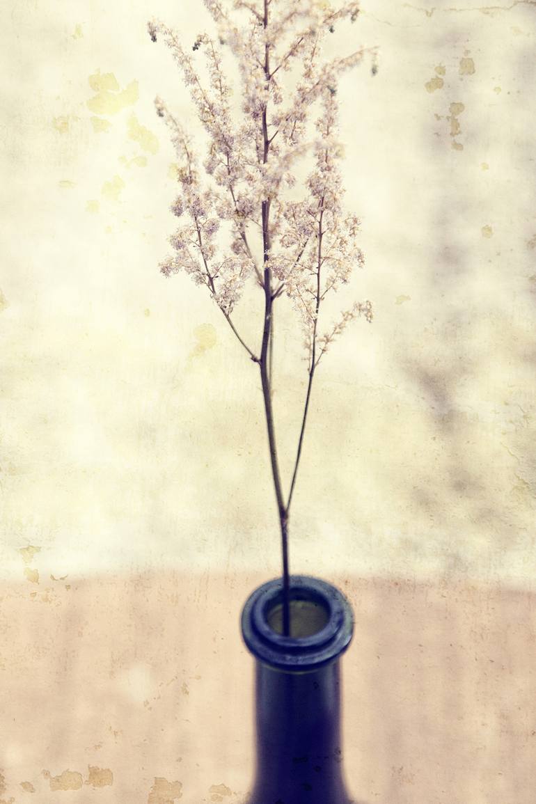 Original Still Life Photography by Paul J Bucknall