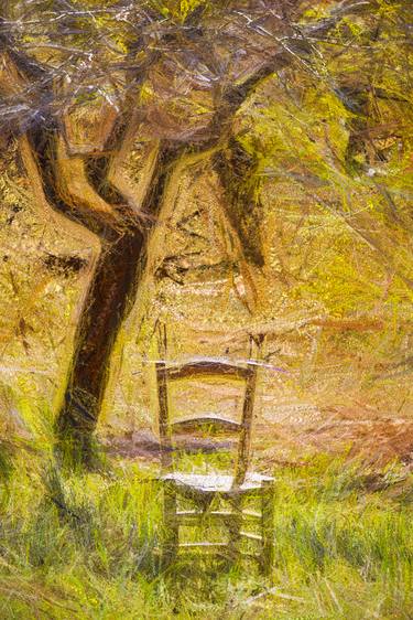Wooden Chair In Almond Grove #1 (Limited Edition #2/10) thumb