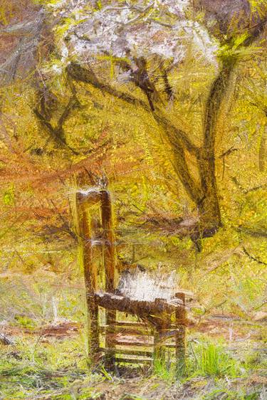 Wooden Chair In Almond Grove #2 (Limited #2/10) thumb