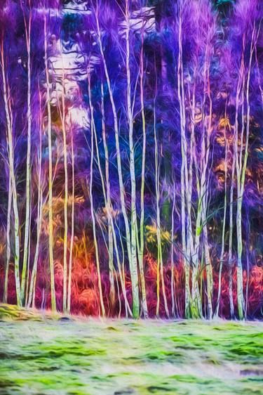Original Abstract Expressionism Landscape Photography by Paul J Bucknall