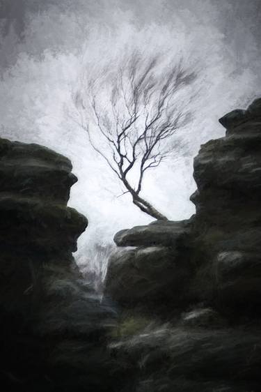 Lone Windswept Tree On A Rocky Outcrop - Limited Edition 1 of 15 thumb