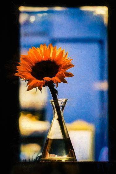 Orange Flower In Glass Vase - Limited Edition 1 of 5 thumb