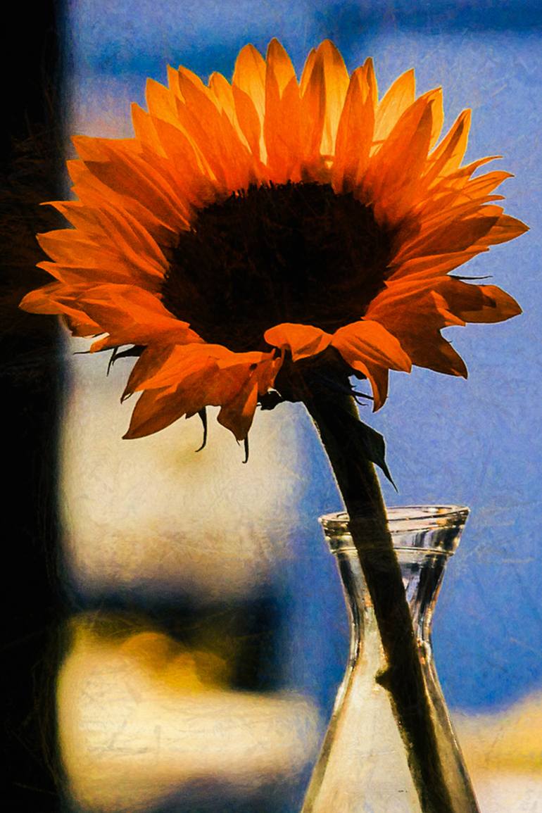 Original Fine Art Floral Photography by Paul J Bucknall