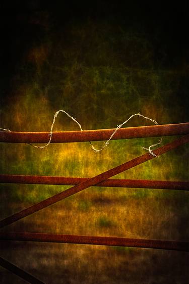 Barbed Wire And Rusting Gate - Limited Edition 1 of 7 thumb