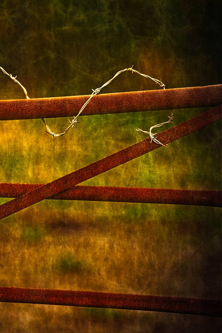 Original Conceptual Still Life Photography by Paul J Bucknall