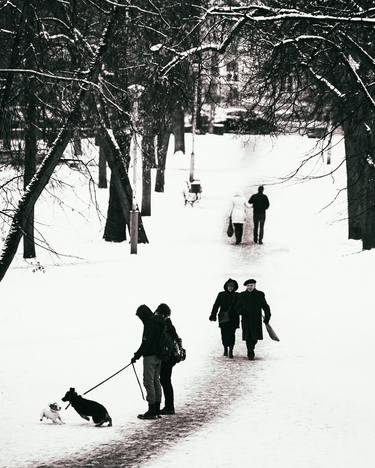 Winter In The Park - Limited Edition 1 of 9 thumb