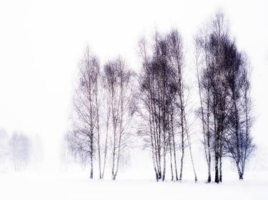 Original Expressionism Landscape Photography by Paul J Bucknall