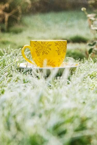 China Cup And Saucer On Frozen Grass thumb