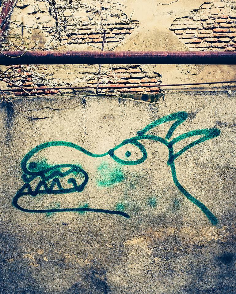 Original Conceptual Graffiti Photography by Paul J Bucknall