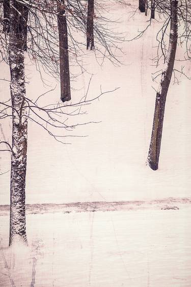 Winter Trees On A Snow Covered Hillside - Limited Edition 1 of 5 thumb