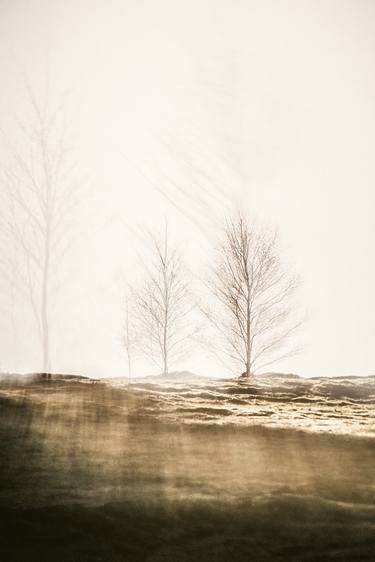 Original Fine Art Landscape Photography by Paul J Bucknall