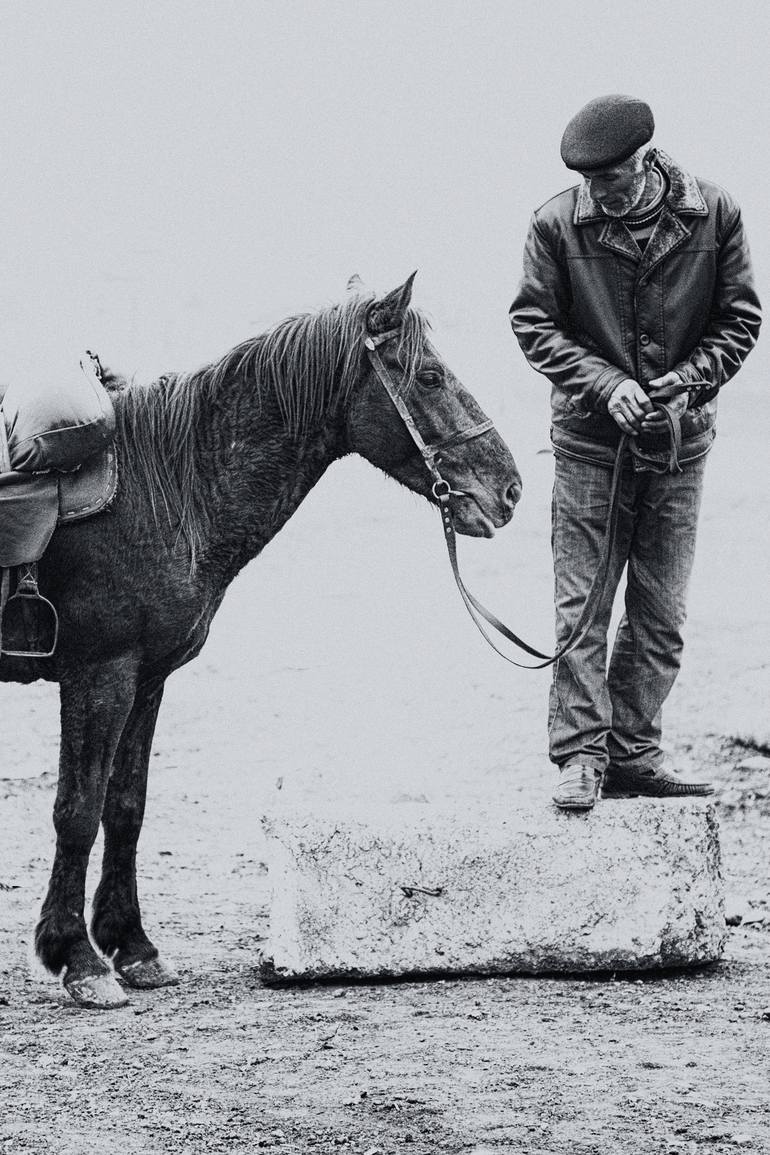 Original Documentary Horse Photography by Paul J Bucknall
