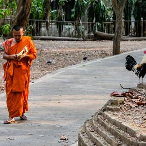 Collection Buddhism