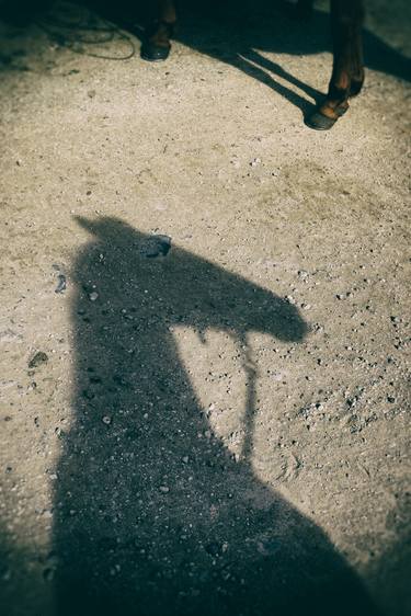 Print of Conceptual Horse Photography by Paul J Bucknall
