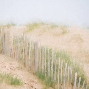 Collection Beach Fence