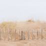 Collection Beach Fence