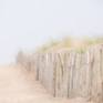 Collection Beach Fence