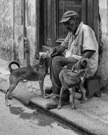 Print of Documentary Dogs Photography by Paul J Bucknall