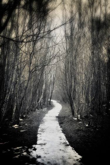 Path Through A Winter Woodland thumb