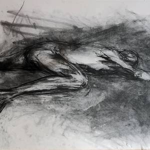 Untitled 29003